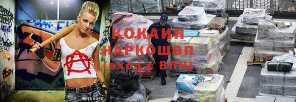 шишки Наволоки