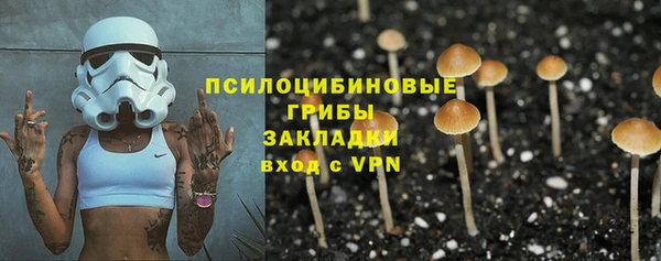 шишки Наволоки